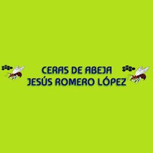 jesus romero